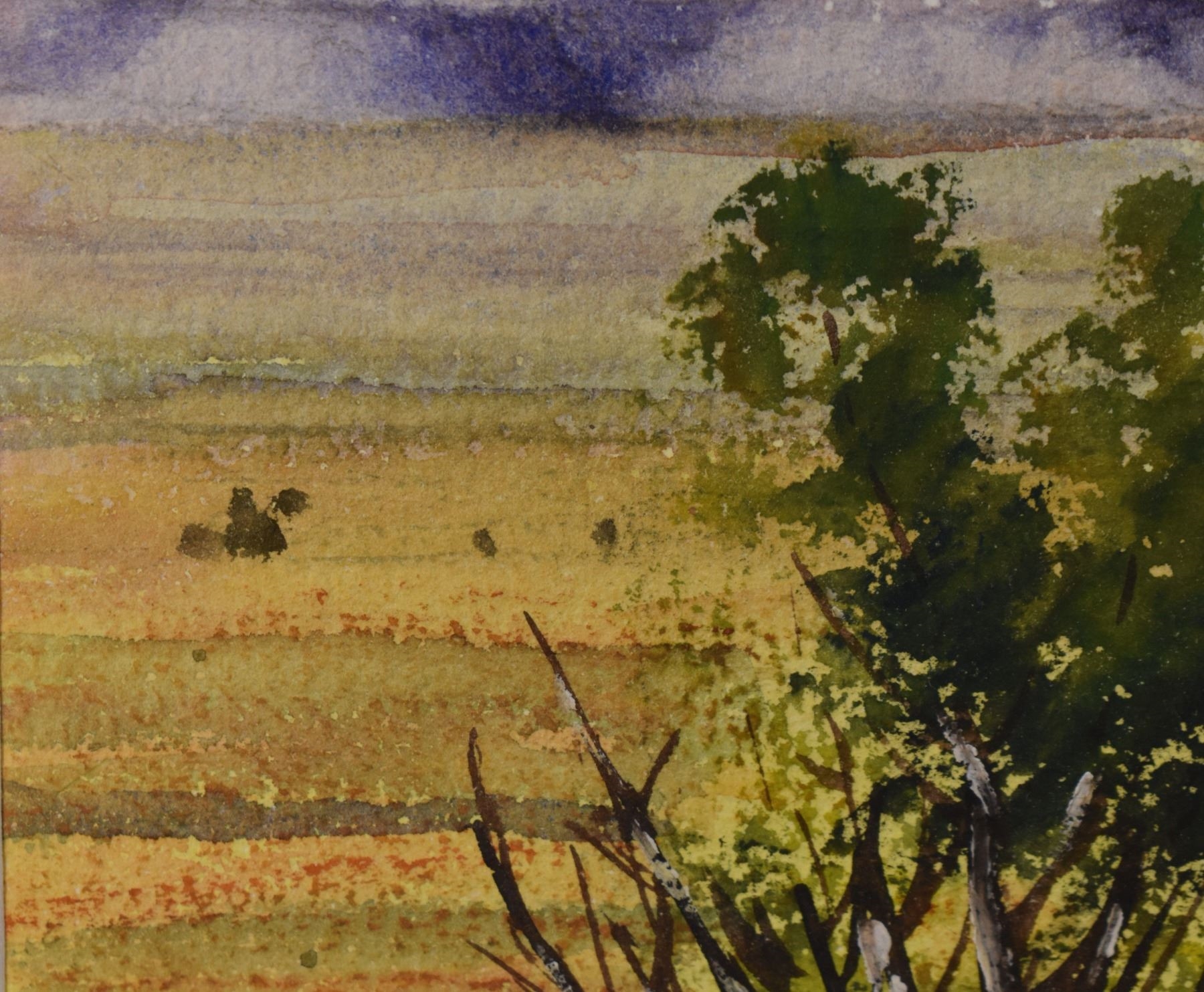 Robert Draper | Sheep heard (1960) | MutualArt