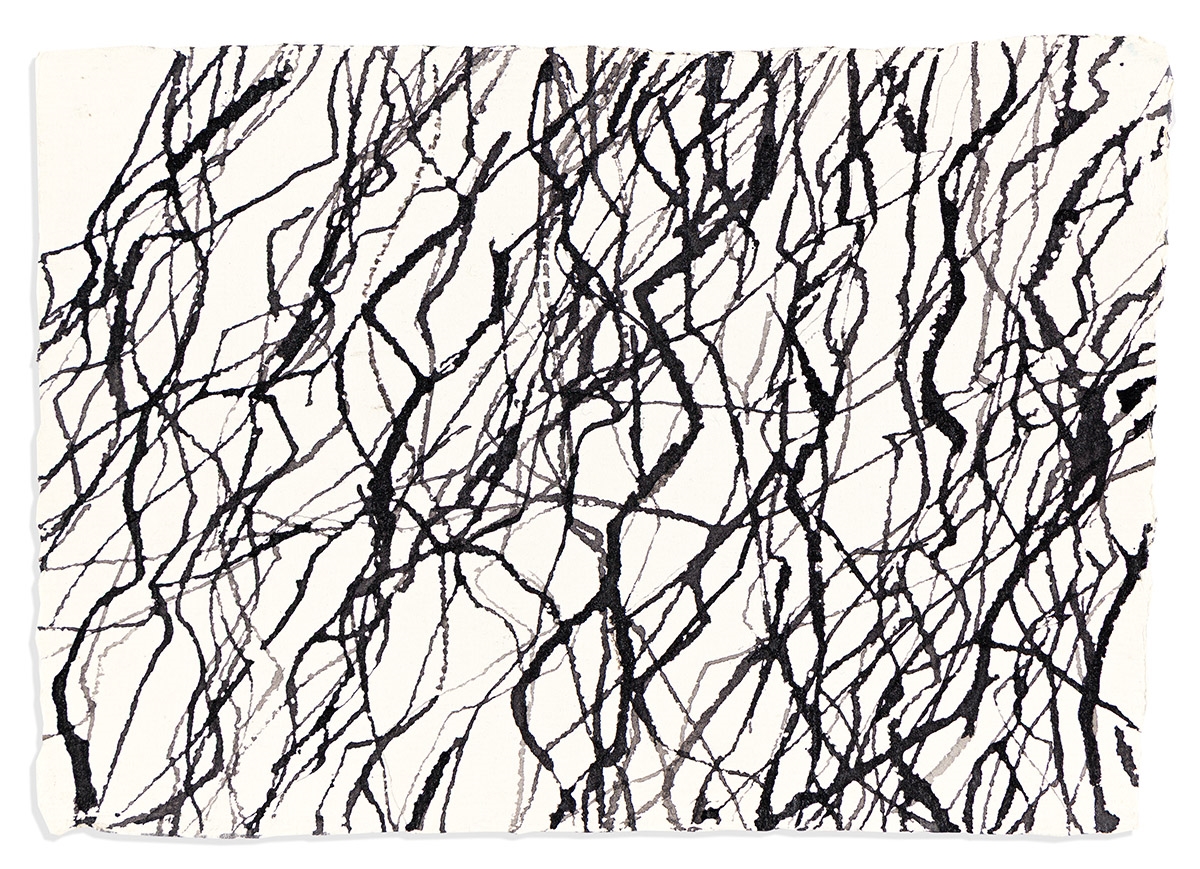 Artwork by Eve Aschheim, Untitled (Water)., Made of Brush and ink drawing on handmade paper