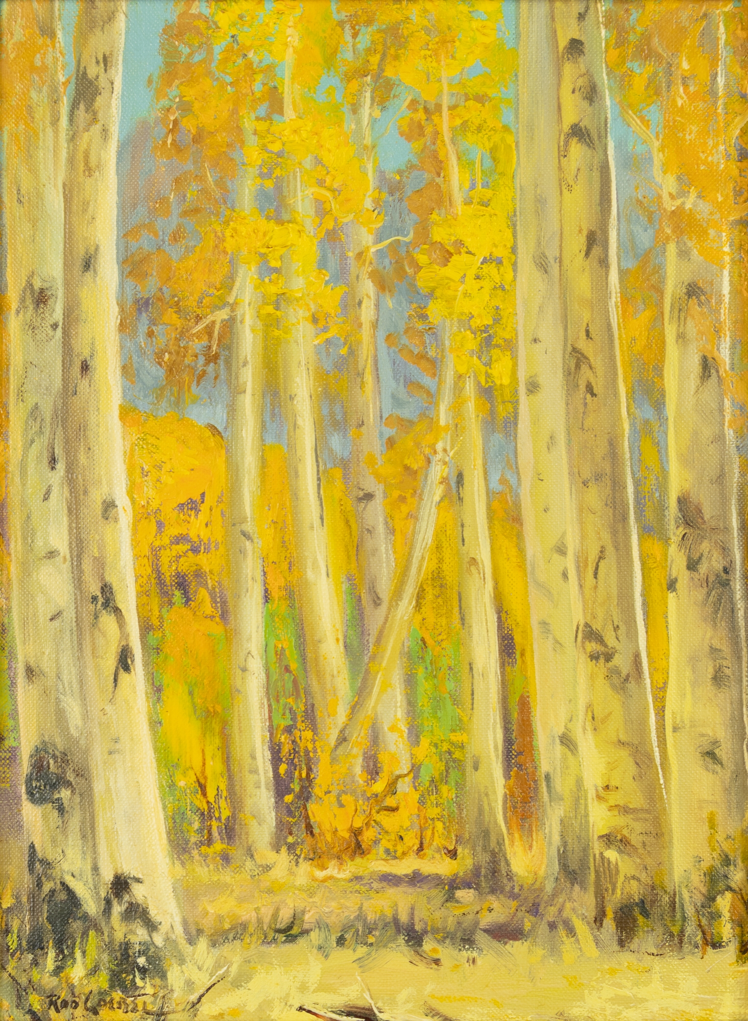 Rod Goebel | : Canyon Aspens | MutualArt