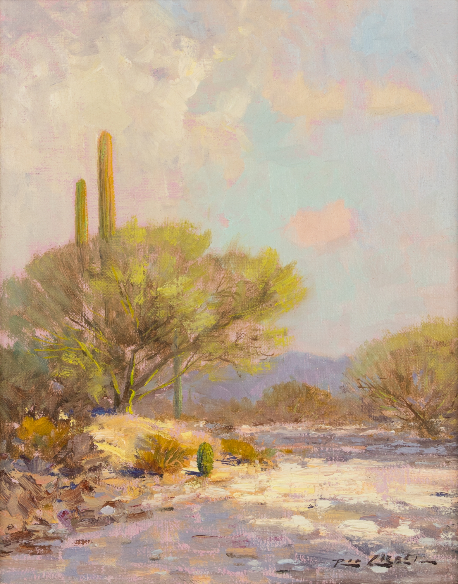 Rod Goebel | : Coyote Wash (1996) | MutualArt