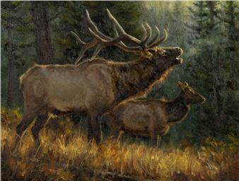 : Canyon Rim - Ryan Skidmore