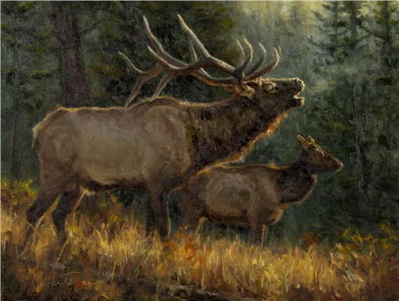 : Canyon Rim - Ryan Skidmore