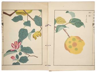 HONZO ZUFU, AN EXTREMELY RARE COMPLETE SET BY IWASAKI TSUNEMASA, JAPAN, 1921 - Iwasaki Kan'en Tsunemasa