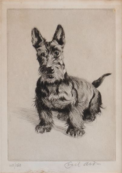 a Highland Terrier by Cecil Aldin