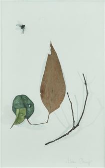 Untitled - Adriane Strampp