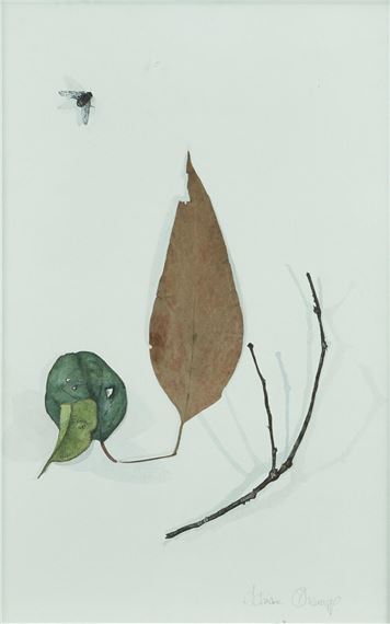 Untitled - Adriane Strampp