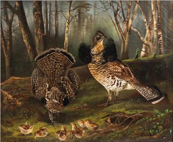 Woodland Grouse - Alfred Crook
