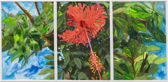 I Am Soil, My Tears Are Water: María Magdalena Campos-Pons at Efie Gallery, Dubai