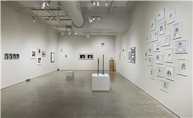 From Strands to Symbols: 601Artspace Show Examines Hair as a Site of Power and Performance, NYC