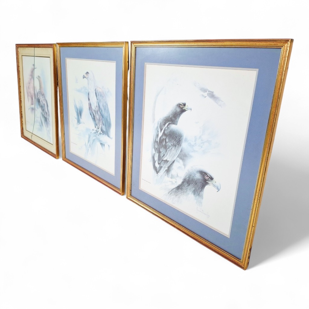 Artwork by Joan Buche, 3 X GILT FRAMED WATERCOLOR PAINTINGS OF BALD EAGLES BY JOAN BUCHE BEHIND GLASS, Made of WATERCOLOR PAINTING