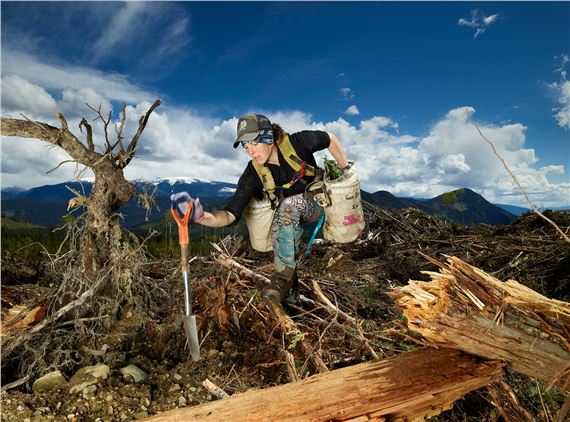 Rita Leistner: The Tree Planters - McMichael Canadian Art Collection