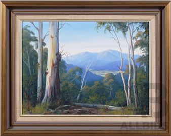 Mary Watson (20th Century, Australian), Across the Kiewa Valley, Vintage Oil on Canvas Board, 50 x 62 - Mary Watson