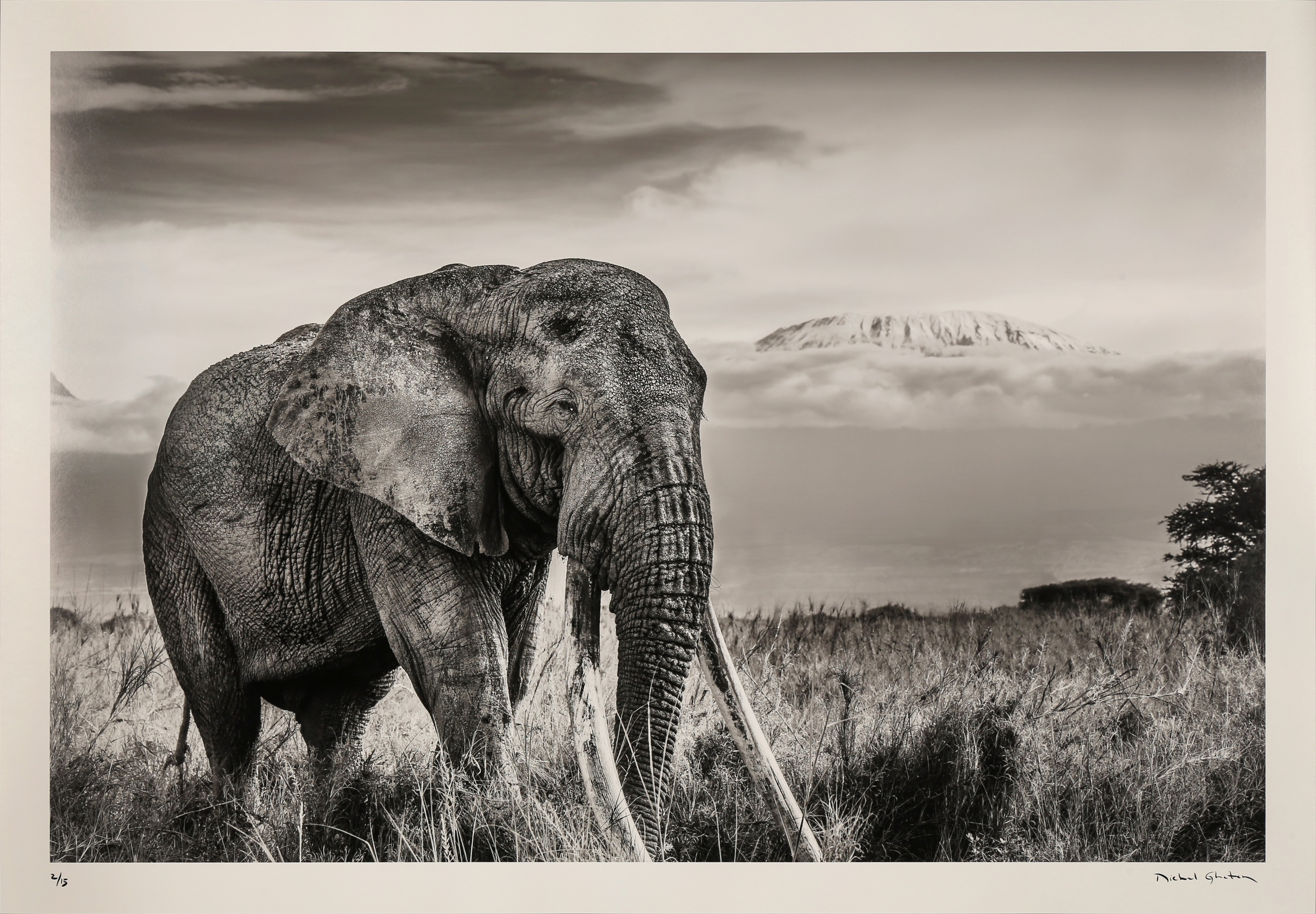 Artwork by Michel Ghatan, TOLSTOY, Made of Archival pigment print