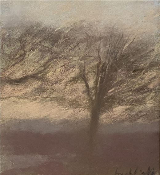 Trees at Evening - Annabel Gault