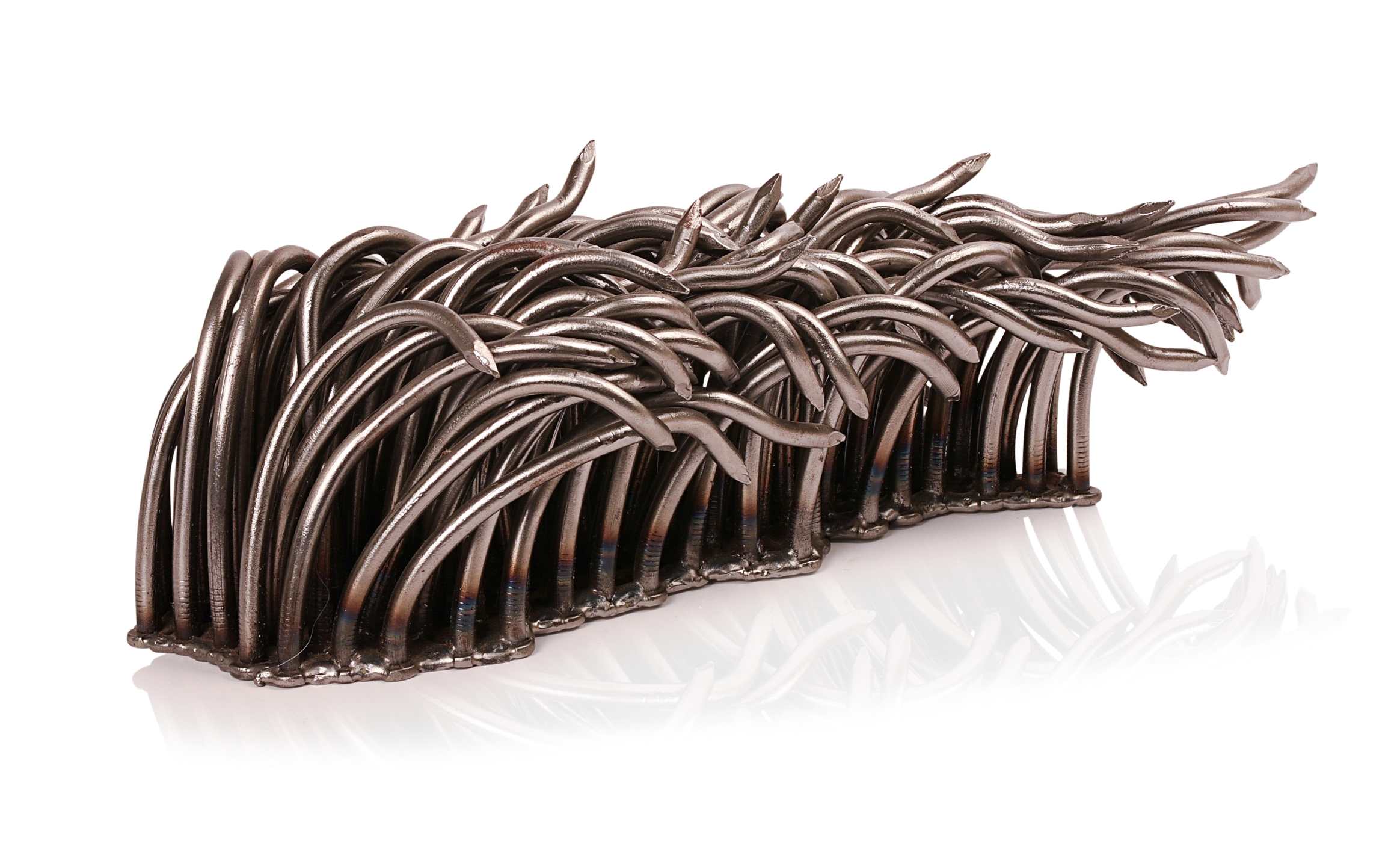 Artwork by John Bisbee, John Bisbee (b. 1965). Mane, 2006