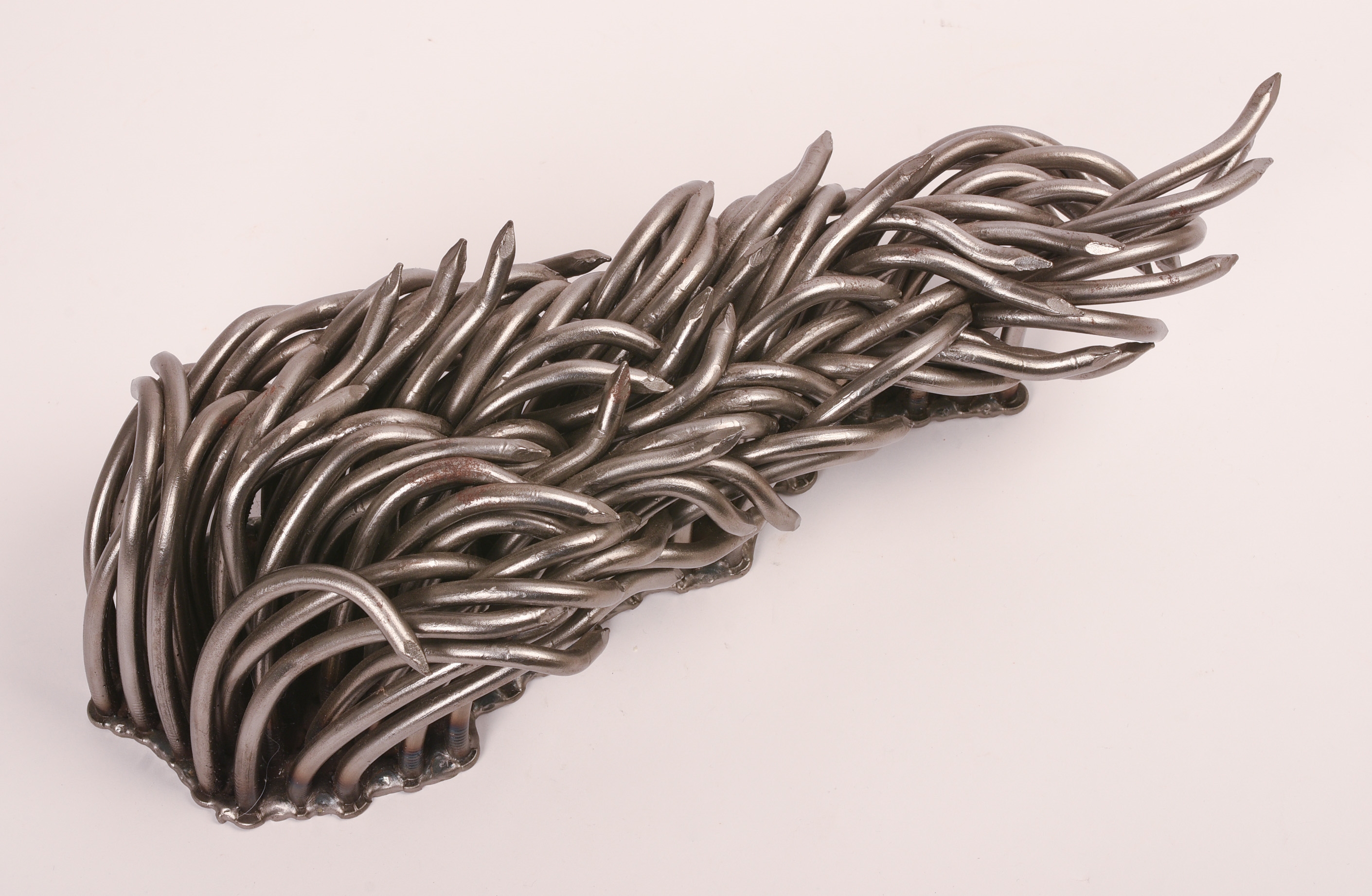 Artwork by John Bisbee, John Bisbee (b. 1965). Mane, 2006