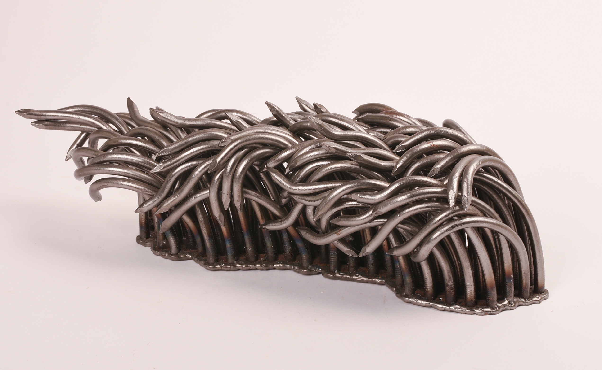 Artwork by John Bisbee, John Bisbee (b. 1965). Mane, 2006