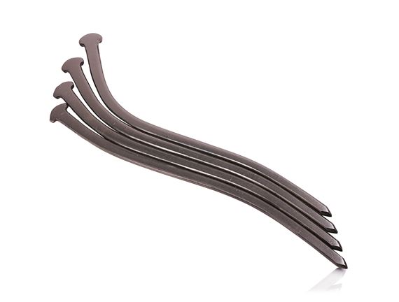 John Bisbee (b. 1965). Frond, 2018