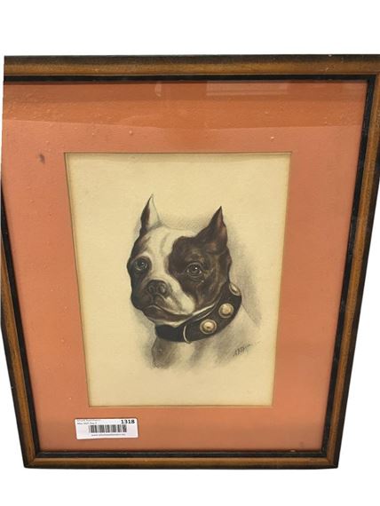 Boston Terrier - A. F. Speer