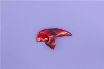 Homografiska museet - Not Quite