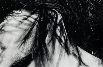 ”Le troisième angle - Eva Klasson