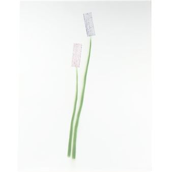 &quot;There is a fight in my work,&quot; she notes, but this is a struggle that profits both sides - Frances Stark