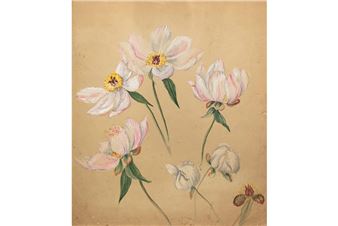 The Thomas Cole National Historic Site Opens "Emily Cole: Ceramics, Flora & Contemporary Responses"