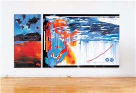 Diane Burko