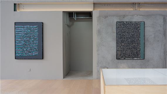 Plasmodesmata - ShanghART Shanghai