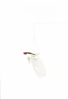 Daiya Yamamoto - Galerie Taménaga, Tokyo