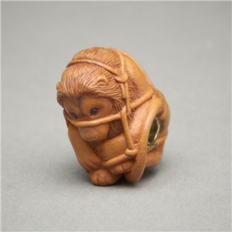 Aslan Bound - Susan Wraight