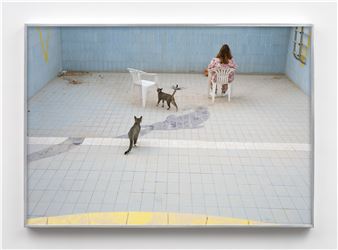 Cats in Swimming Pool - Farah Al Qasimi