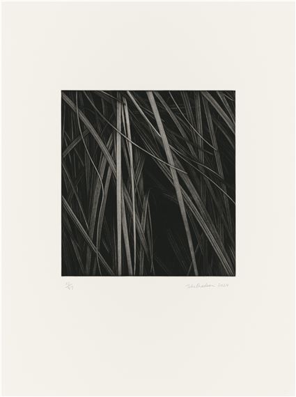 Untitled - Toba Khedoori