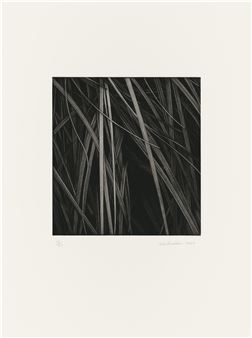 Untitled - Toba Khedoori