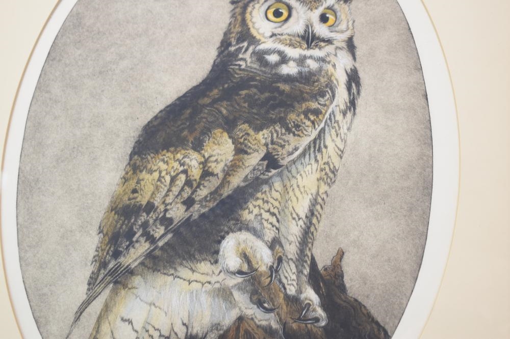 Artwork by Lois Carson, Two Vintage Lois Carson Limited Edition Owl Prints, Made of Prints