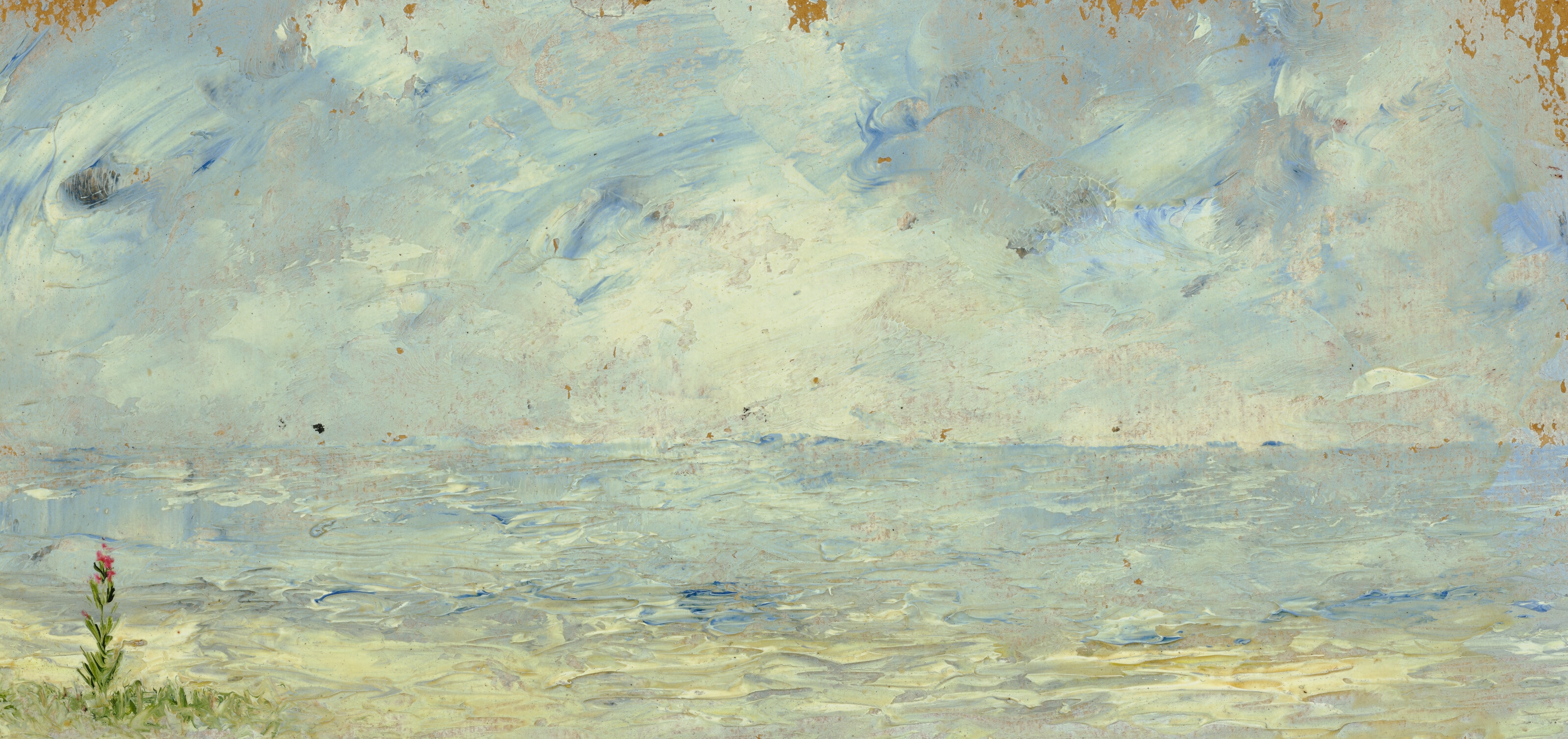 Artwork by August Strindberg, Fackelblomster I (Torch Flower I), Made of oil on paper