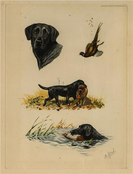 Boris Riab | Labrador Hunting Pheasant | MutualArt