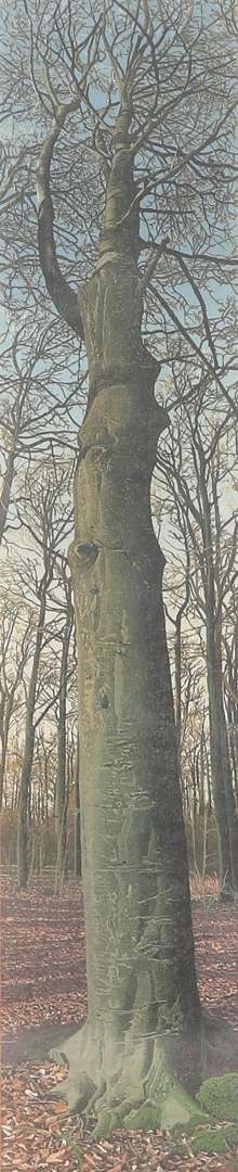 Artwork by Siemen Dijkstra, De Bork, Westeinder Es, Dwingelo, Made of pencil