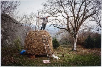 Gathering: A Photographer's Collection - Jordan Schnitzer Museum of Art