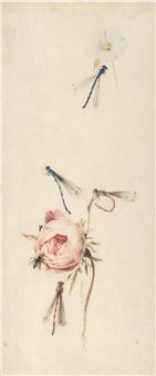 Studies of a Rose and a Hibiscus Surrounded by Four Dragonflies, a Bee, and a Fly - Otto Marseus van Schrieck