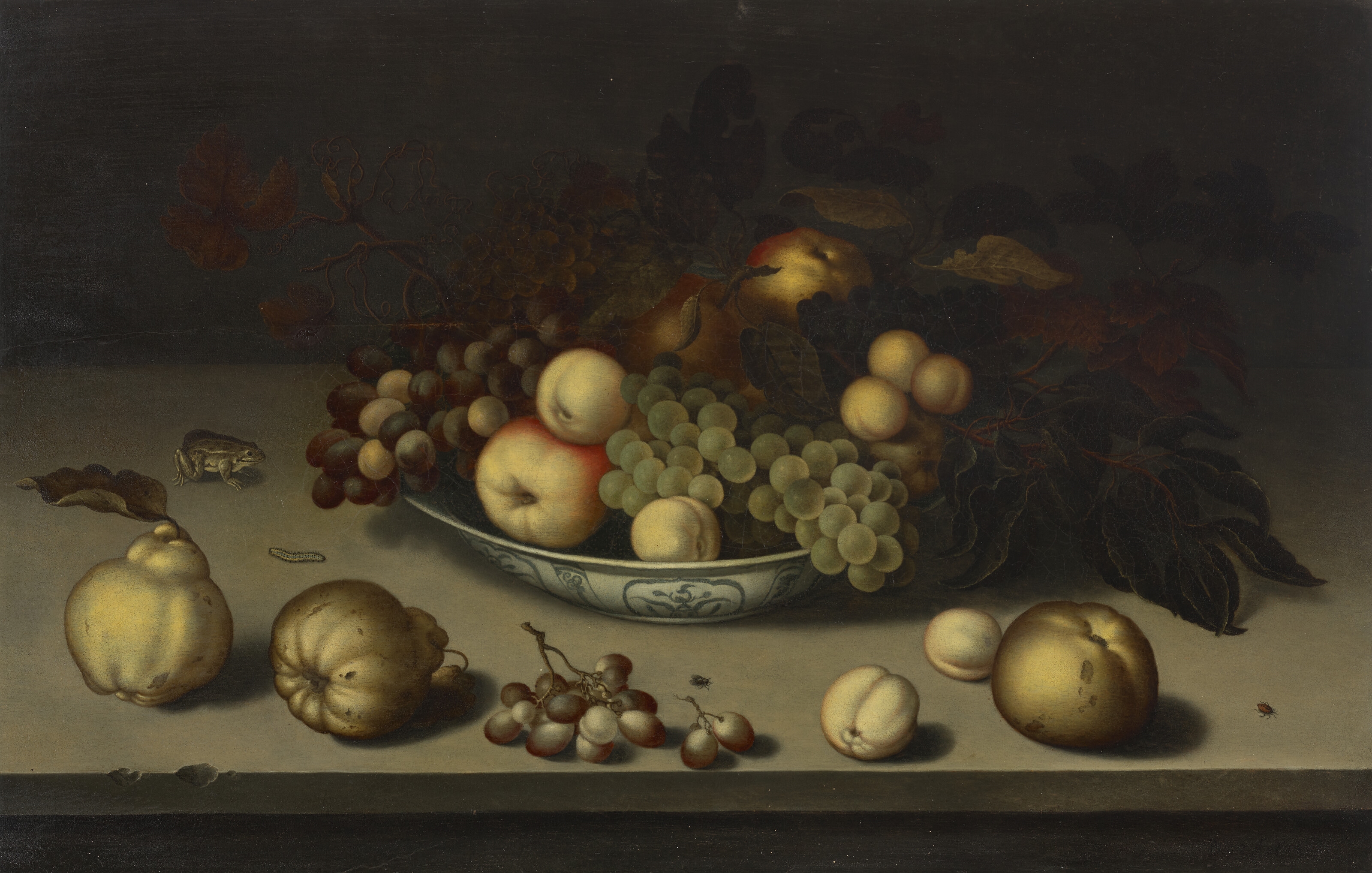 Artwork by Balthasar van der Ast, Grapes, apples, peaches and apricots in a Wan-li bowl, with quinces, a frog, a caterpillar, a fly and a beetle on a stone ledge, Made of oil on panel