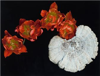 Untitled - Robert Buelteman