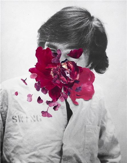 Flower Head - Peter Madden