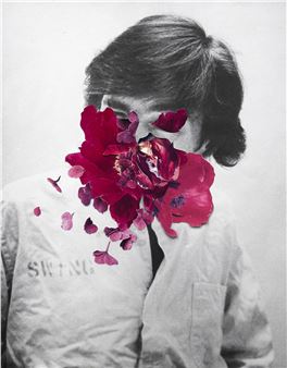 Flower Head - Peter Madden