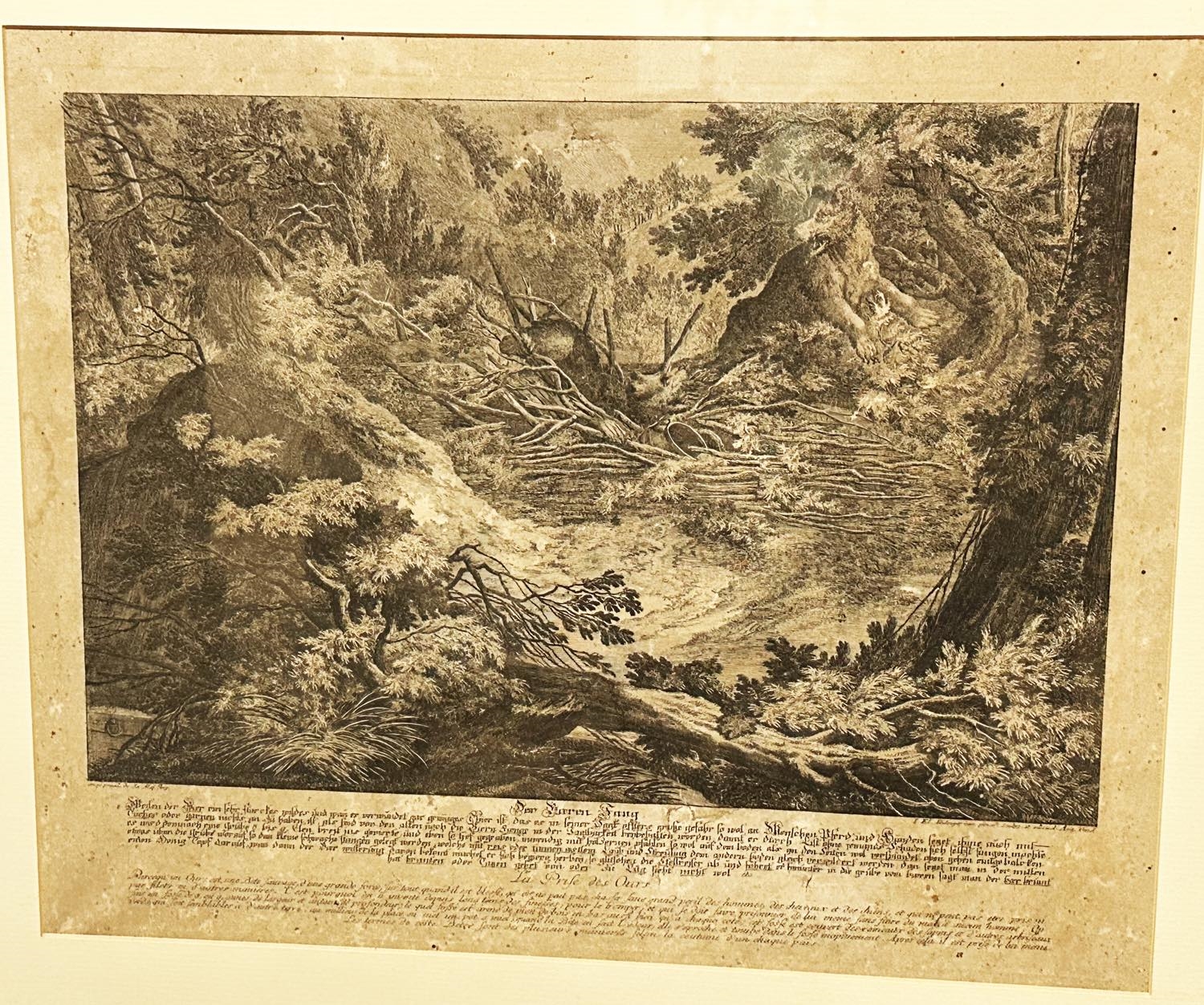 Johann Elias Ridinger | Sei antiche incisioni raff.ti Scene di caccia ...