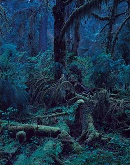 Yoshihiko Ueda | 35 Artworks at Auction | MutualArt
