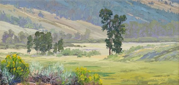 
Mountain Meadow by Carol Swinney