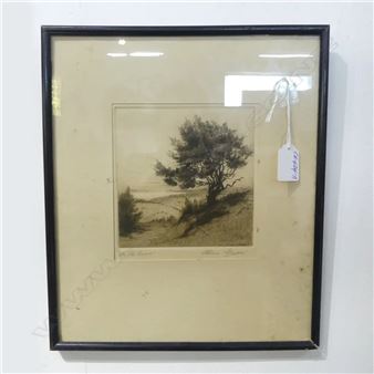 An Old Road - Connie Lloyd