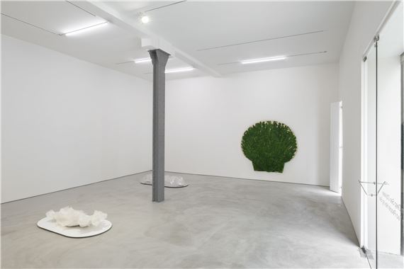 Asta Gröting: From Deep Sea Odyssey to Space Between Two People Having Sex - Carlier / Gebauer, Madrid