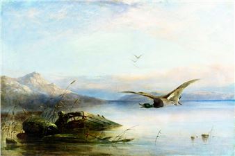 Ducks - Wild Birds in Flight - Robert Henry Roe